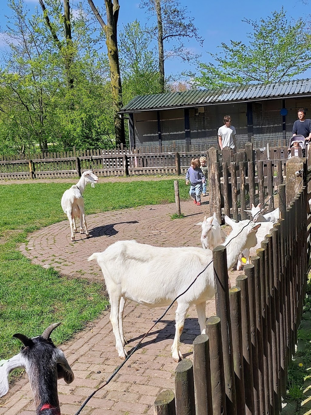 Speelboerderij Elsenhove | Bankrasweg 1, 1183 TP Amstelveen, Netherlands | Phone: 020 545 7166