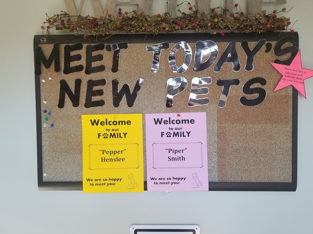 West Jefferson Animal Hospital | 121 E Main St, West Jefferson, OH 43162, USA | Phone: (614) 879-8250