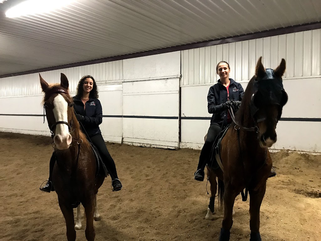 Cape Cod Equestrian Center | 3187 E Centerville Rd, Spring Valley, OH 45370, USA | Phone: (937) 848-8566