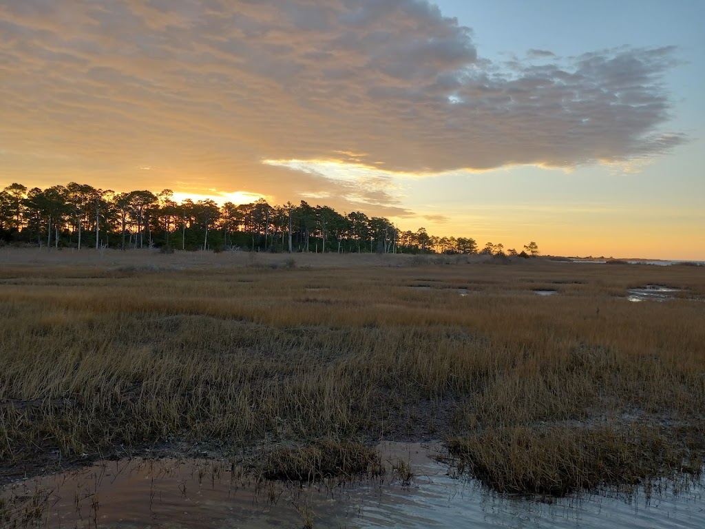 New Point Comfort Natural Area Preserve | New Point Comfort Natural Area Preserve, Port Haywood, VA 23138, USA | Phone: (434) 225-2303