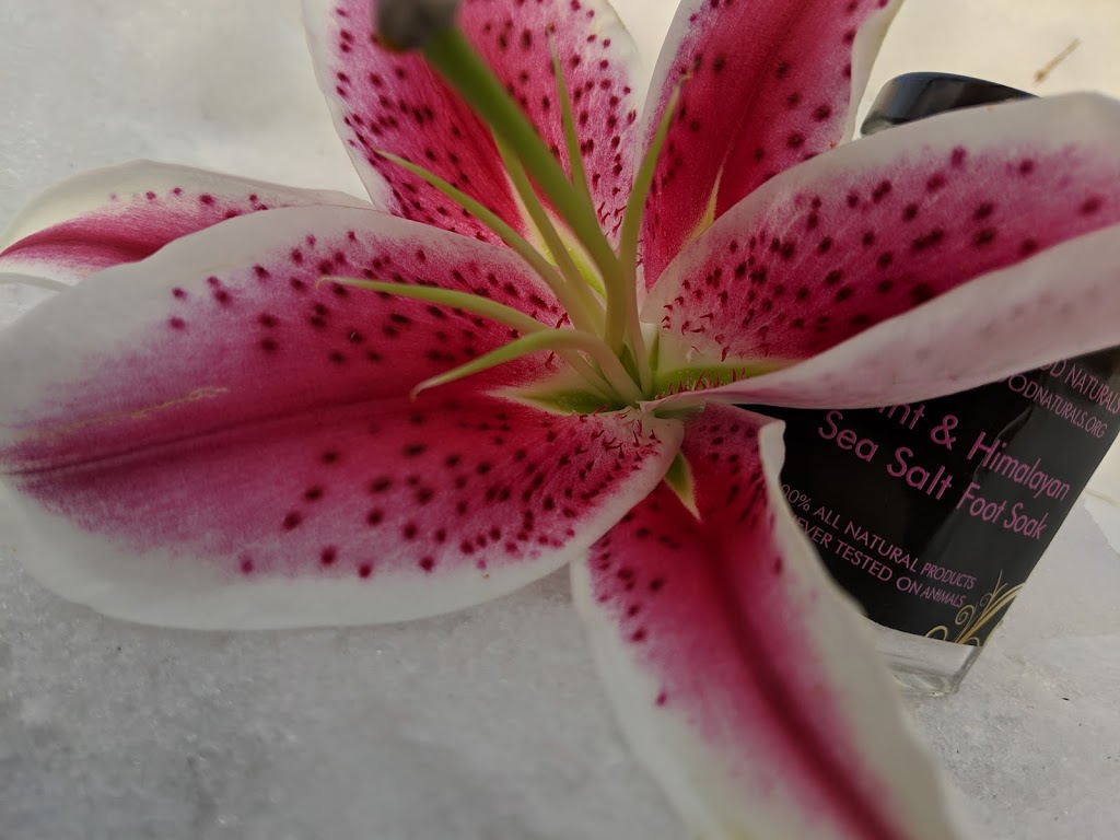 Soul Good Naturals | 343 Alsobrook St, Kirkwood, MO 63122, USA | Phone: (314) 858-1847