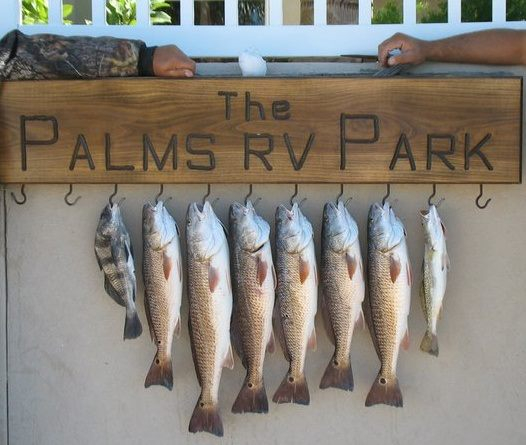 The Palms RV Park | 2135 W Wheeler Ave, Aransas Pass, TX 78336, USA | Phone: (361) 758-4000