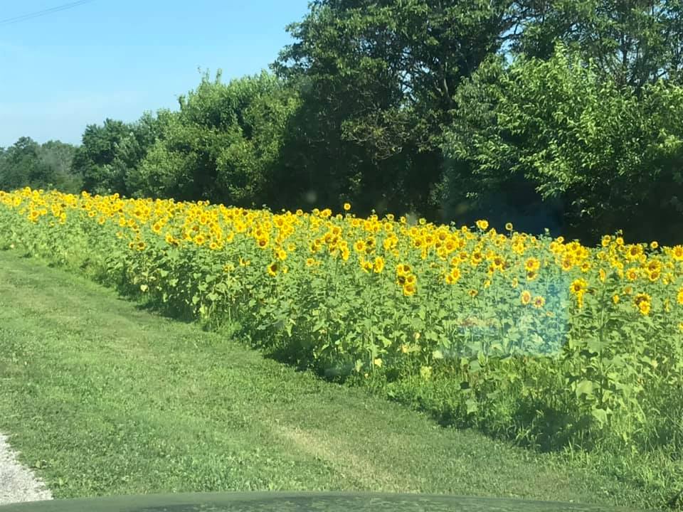 The Friendly Farmers Fridge | 5715 Zaring Mill Rd, Shelbyville, KY 40065, USA | Phone: (502) 931-6441