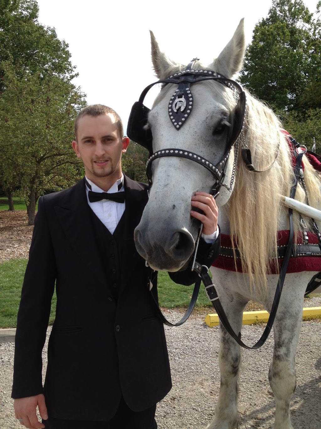 Camelot Carriage Rides | 8655 Winchester Rd, Decatur, IN 46733 | Phone: (260) 223-2417