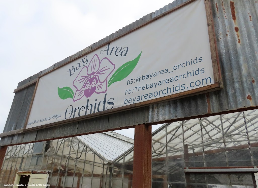 Bay Area Orchids | 12511 San Mateo Rd, Half Moon Bay, CA 94019, USA | Phone: (650) 922-4975