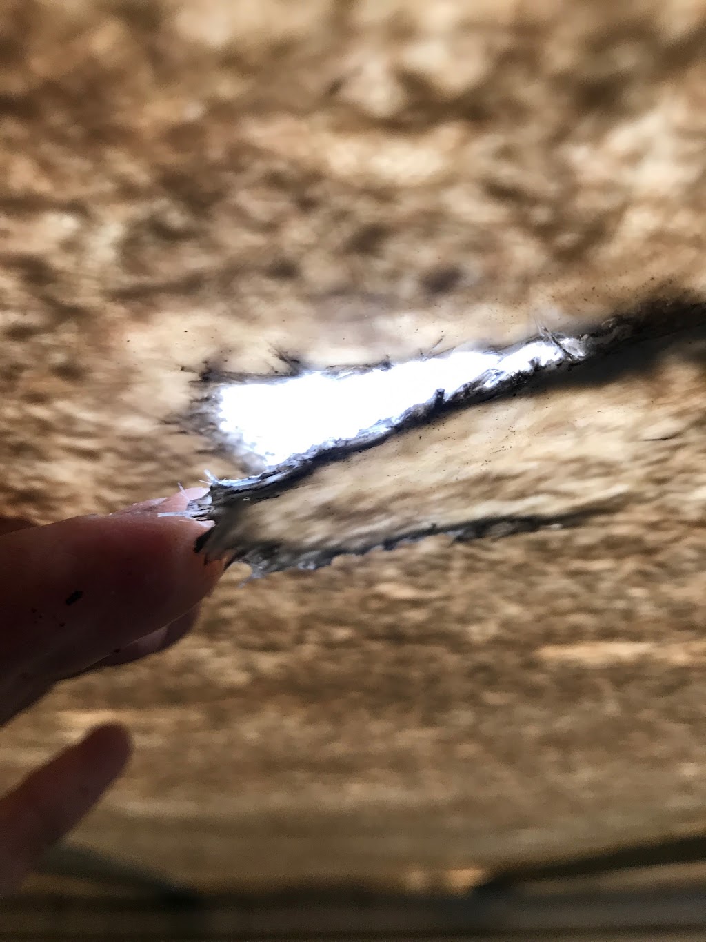 Asap trailer wash | 813 W St Bernard Hwy, Chalmette, LA 70043, USA | Phone: (504) 460-6900