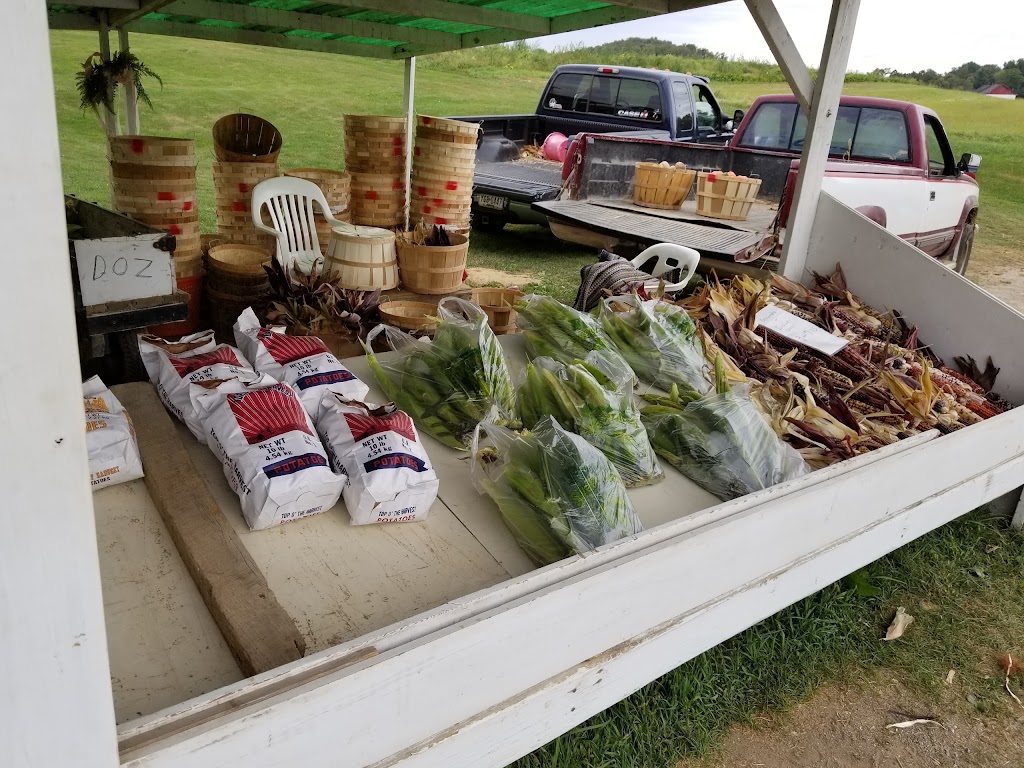 Myers Pickle Farm | 969 PA-66, Leechburg, PA 15656, USA | Phone: (724) 842-1691