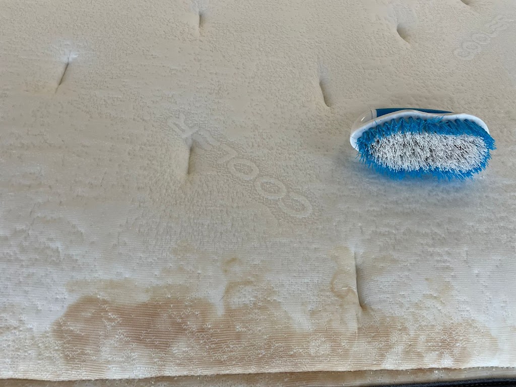 Ez Sparkle Green Carpet Cleaning | 19144 Hamlin St, Reseda, CA 91335, USA | Phone: (310) 744-0887