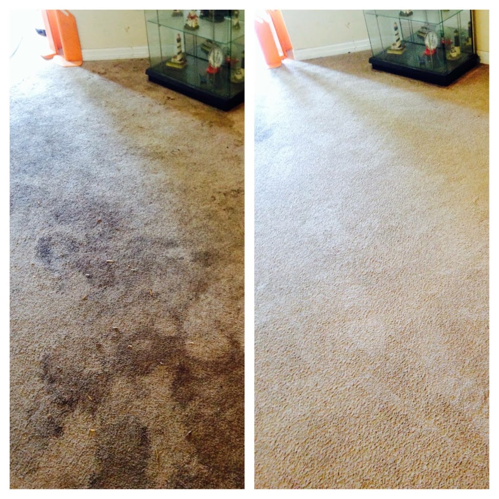 Team Green Carpet Clean Inc | 2007 Rain Dance Pl, Brandon, FL 33510, USA | Phone: (813) 699-0072