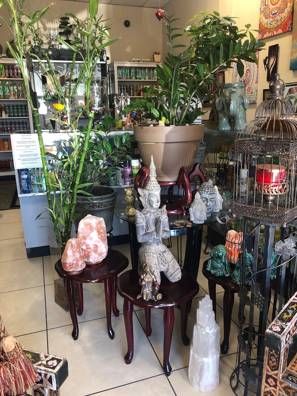 5 Pasos Feng Shui | 13813 N 19th Ave, Phoenix, AZ 85029 | Phone: (480) 358-7619