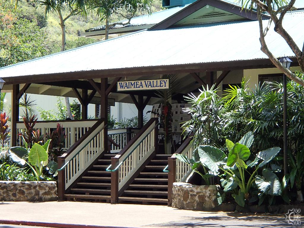 Open Kitchen | 59-864 Kamehameha Hwy, Haleiwa, HI 96712, USA | Phone: (808) 376-4135