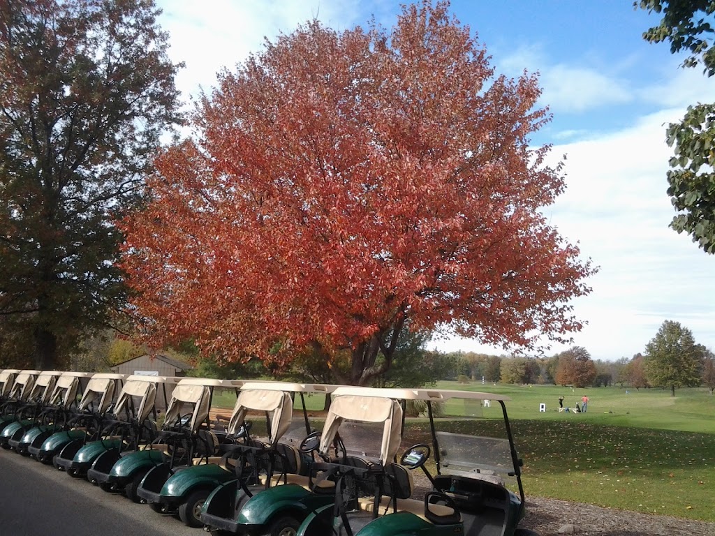 Ellsworth Meadows Golf Club | 1101 Barlow Rd, Hudson, OH 44236, USA | Phone: (330) 655-2267