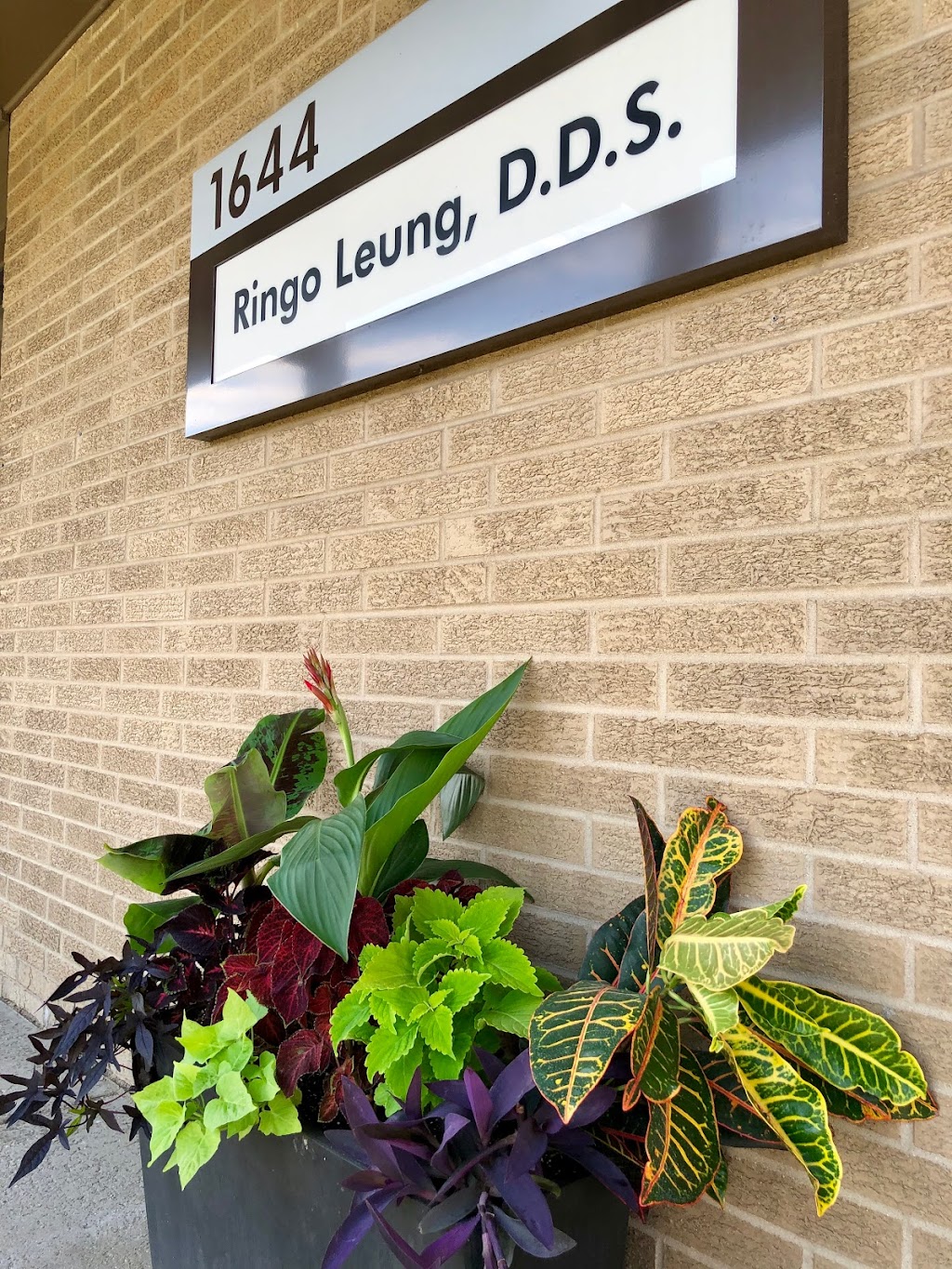 Leung Family Dental | 1644 45th St, Munster, IN 46321, USA | Phone: (219) 924-2860