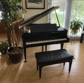 Carla Coleman Music Studio | 803 S Ridge Rd, Burlington, NC 27217, USA | Phone: (336) 437-4069