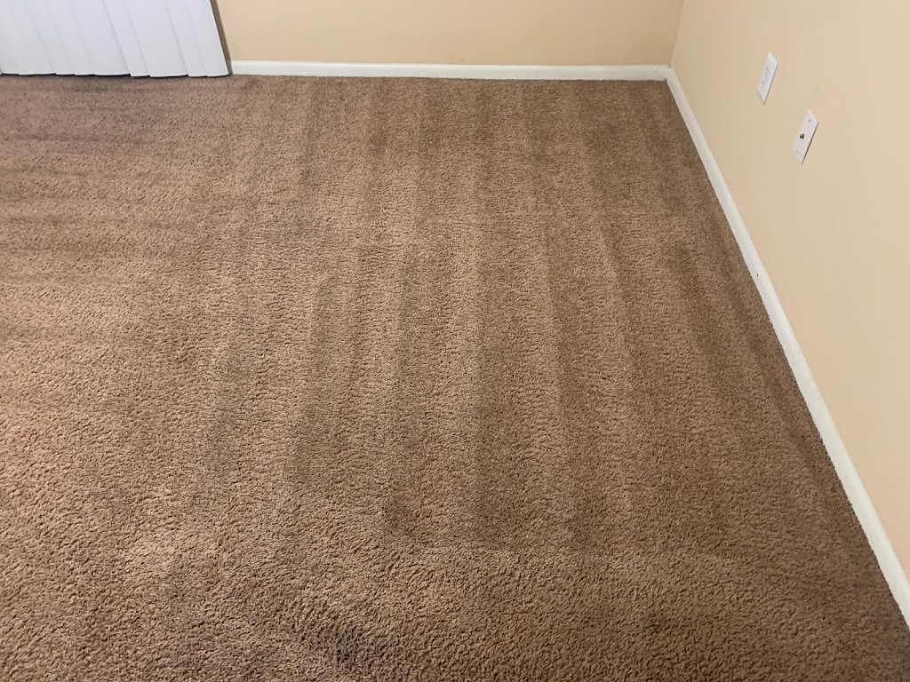 Hydra Maxx Carpet Cleaning-Tampa | 35946 FL-54, Zephyrhills, FL 33541, USA | Phone: (813) 220-2532