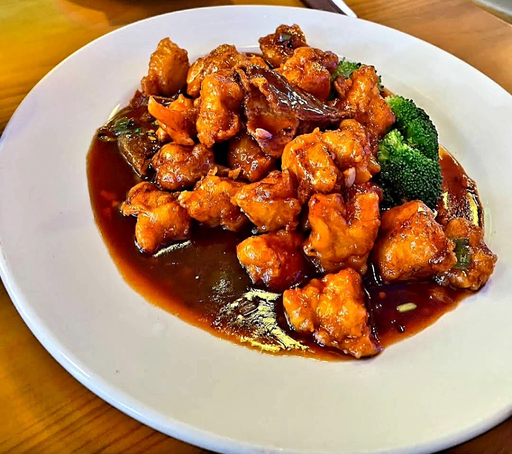 MOCA Asian Cuisine | 11244 Boyette Rd, Riverview, FL 33569 | Phone: (813) 512-2126