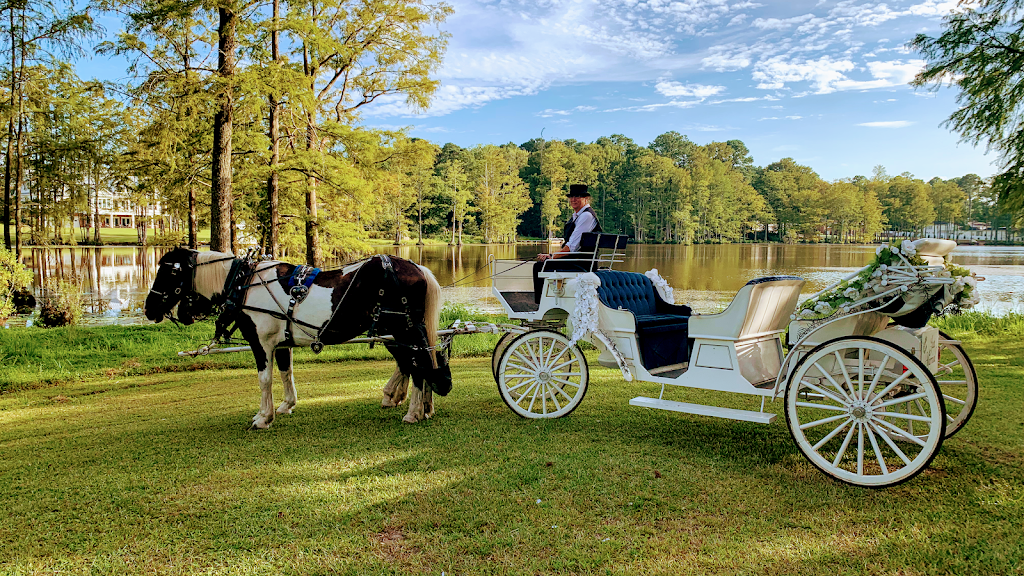 Southern Charm Carriages LLC | 150 Jordan Narron Rd, Selma, NC 27576, USA | Phone: (919) 412-8308