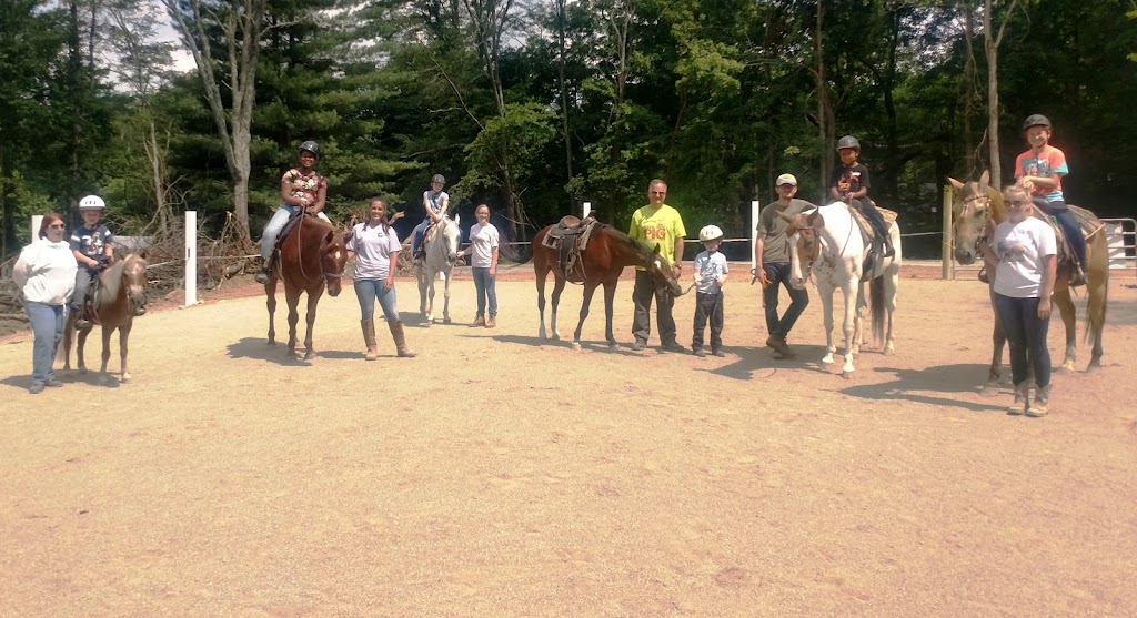 Heavenward Farm and Horsemanship | 7084 Ludlum Rd, Morrow, OH 45152, USA | Phone: (513) 899-4347