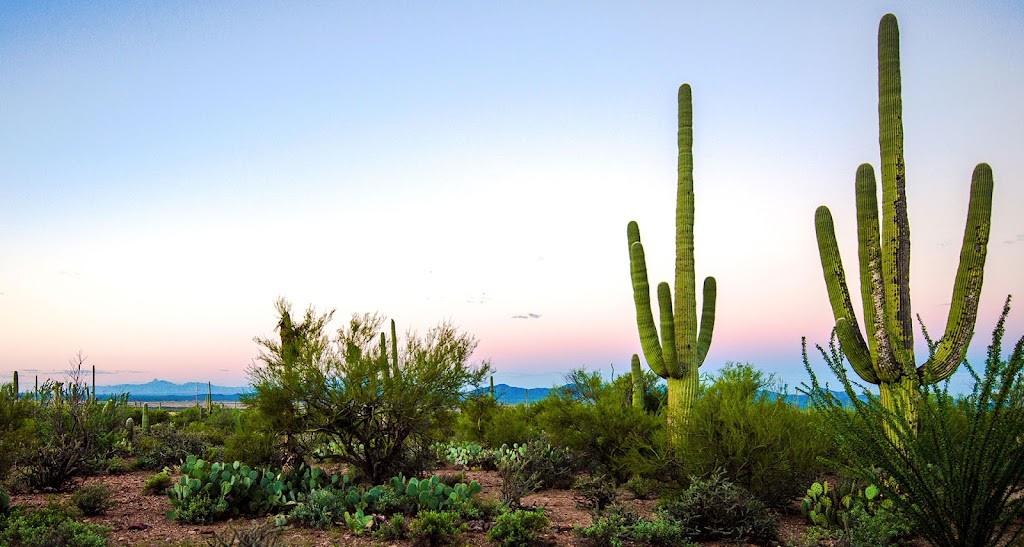 Casa Tierra Adobe Bed & Breakfast | 11155 W Calle Pima, Tucson, AZ 85743, USA | Phone: (520) 578-3009