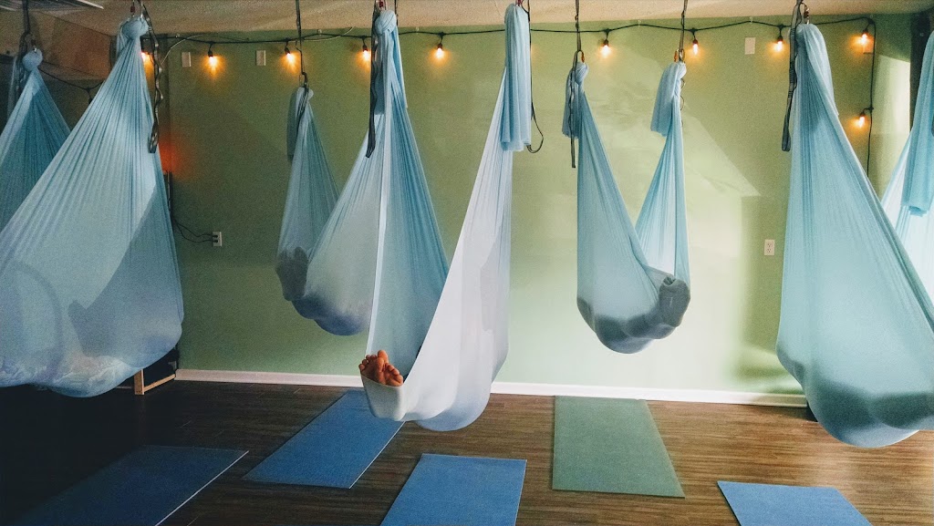 Earth and Sky Yoga | 22 Seabrook Rd, Stockton, NJ 08559, USA | Phone: (908) 892-8297