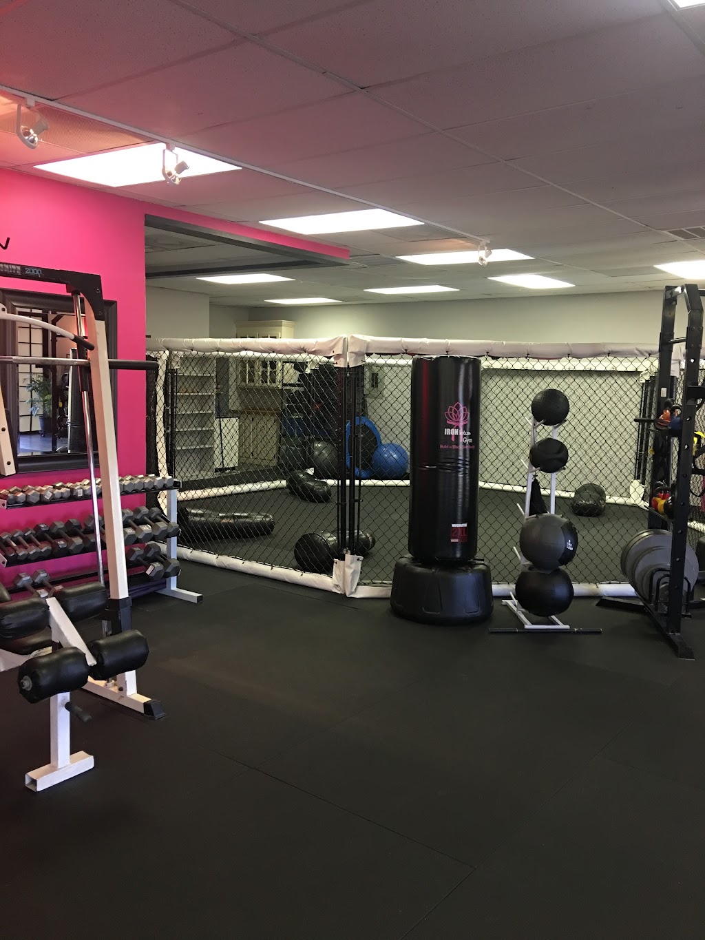 Iron Lotus Gym | 323 Hancock St, Gallatin, TN 37066, USA | Phone: (877) 447-3785