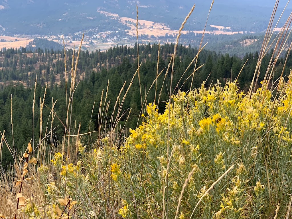 Station Creek Trailhead | County Hwy 17, Boise, ID 83701, USA | Phone: (208) 373-4100