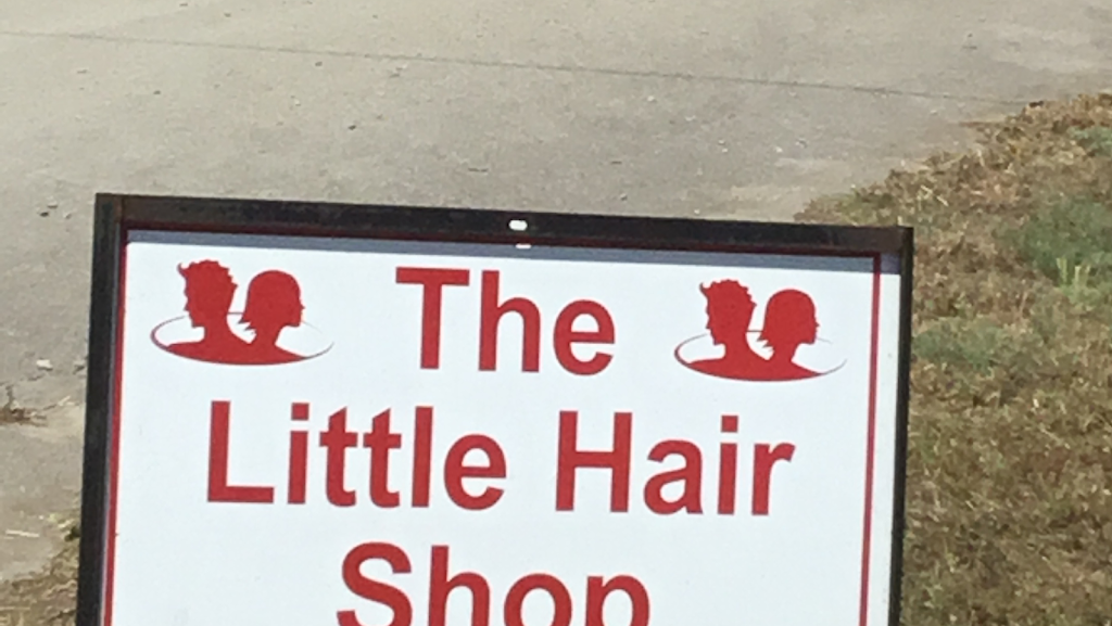 THE LITTLE HAIR SHOP | 803 N Old Hwy 81, Kyle, TX 78640 | Phone: (512) 268-7467