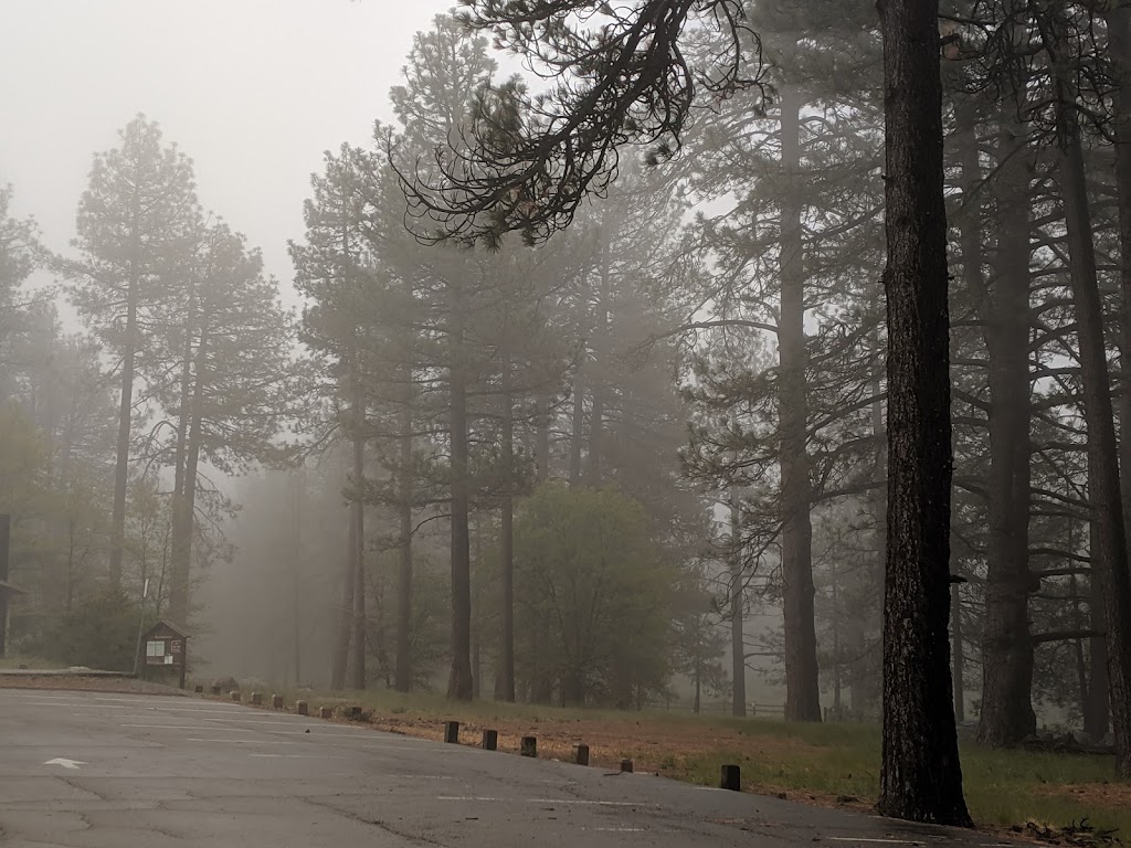 El Prado Group Campground - Big Sage | Laguna Meadow Rd, Mt Laguna, CA 91948, USA | Phone: (877) 444-6777