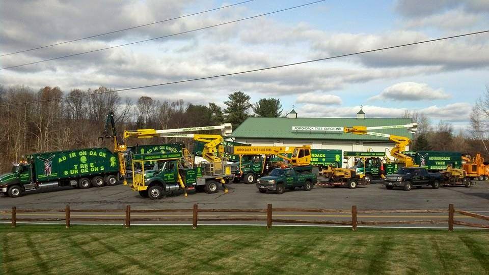 Adirondack Tree Surgeons Inc | 353 Gurn Springs Rd, Gansevoort, NY 12831, USA | Phone: (518) 792-2225