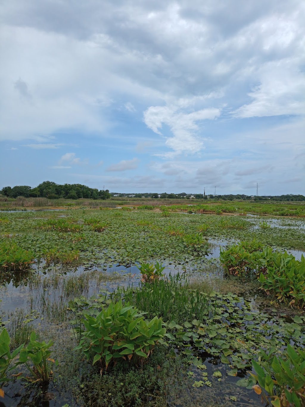 Sarasota Audubon Nature Center | 999 Center Rd, Sarasota, FL 34240, USA | Phone: (941) 312-6533