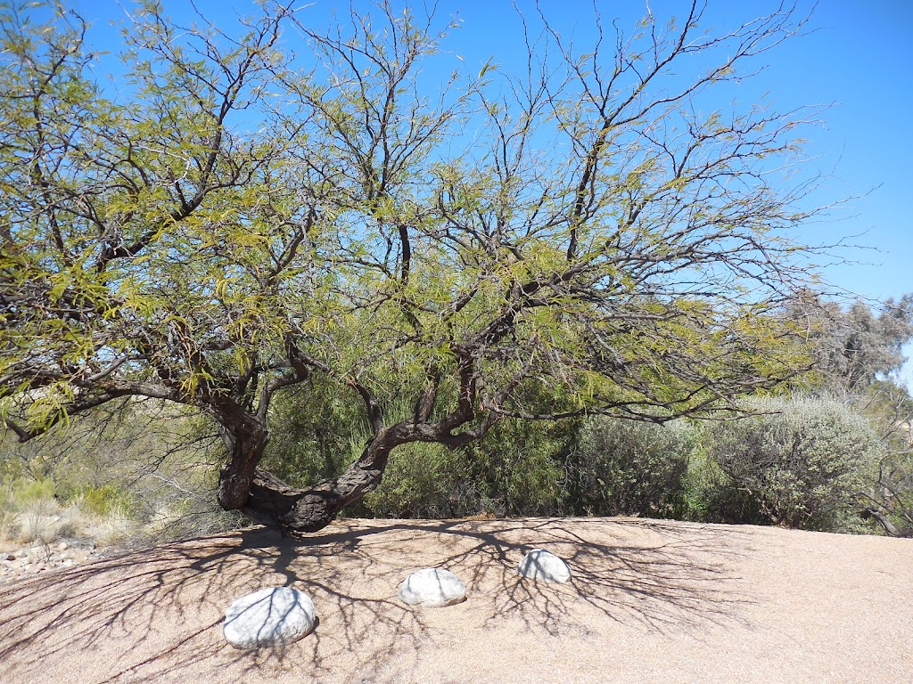 Green Valley Casita - Green Valley Escapes | 1420 W Desert Hills Dr, Green Valley, AZ 85622, USA | Phone: (503) 789-8456