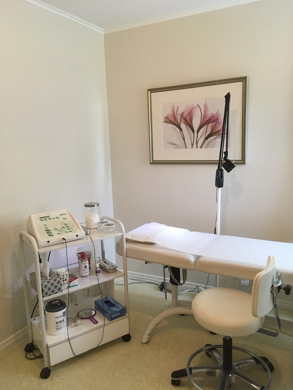 Dawn Electrolysis | 66 Seaman Rd, Glen Cove, NY 11542, USA | Phone: (516) 532-7347