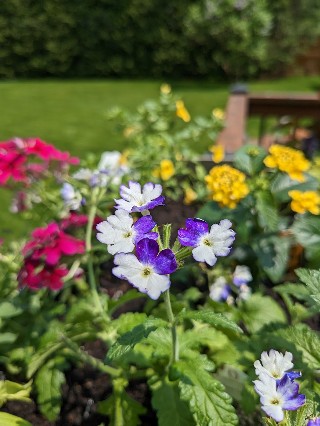 Maple Greenhouses & Garden Market | 1028 Hutchinson Rd, Lowbanks, ON N0A 1K0, Canada | Phone: (905) 774-7391