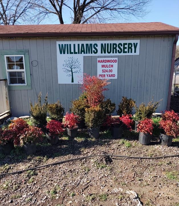 Williams Nursery | 8768 Shelbyville Pike, Bell Buckle, TN 37020, USA | Phone: (615) 477-5302