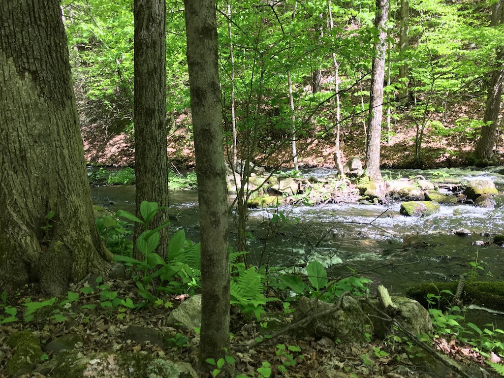 Cascade Lake Park | Cascade Lake Rd, Warwick, NY 10990, USA | Phone: (845) 986-1124