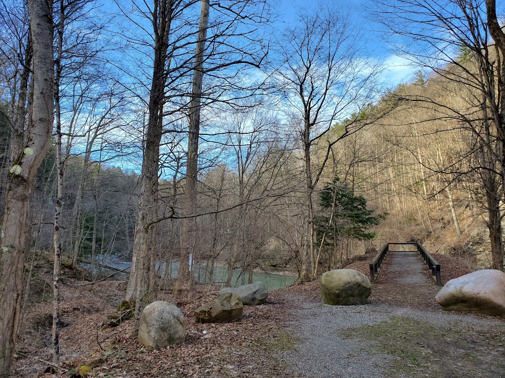 Forty Road Parking Area | 10229 Forty Rd, Gowanda, NY 14070, USA | Phone: (518) 408-5850