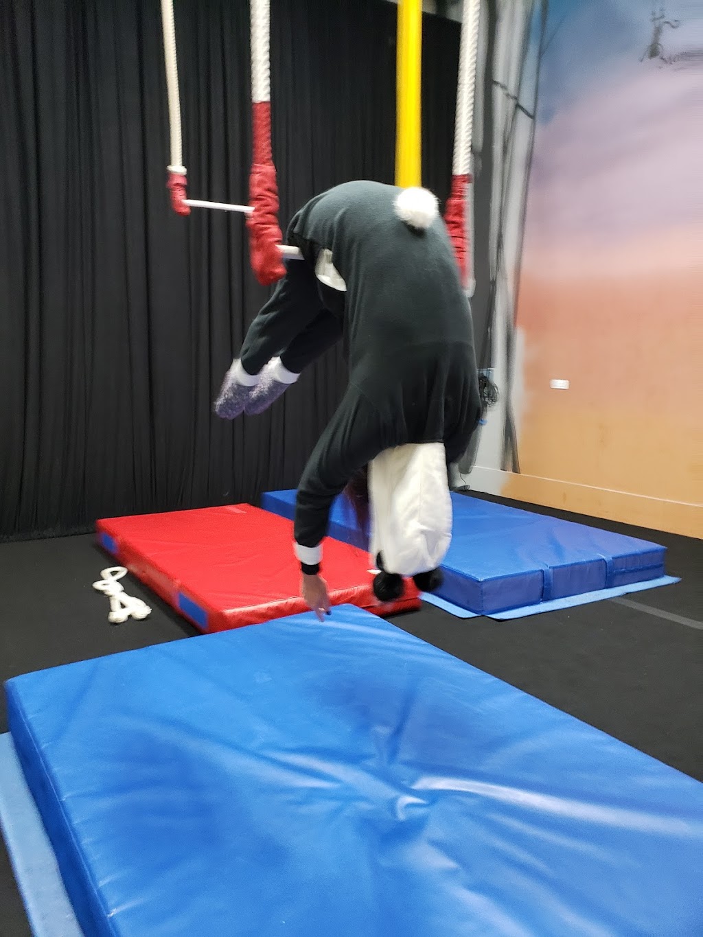 Monkey Aerial Arts | 888 E Belvidere Rd STE 217, Grayslake, IL 60030, USA | Phone: (224) 433-4252