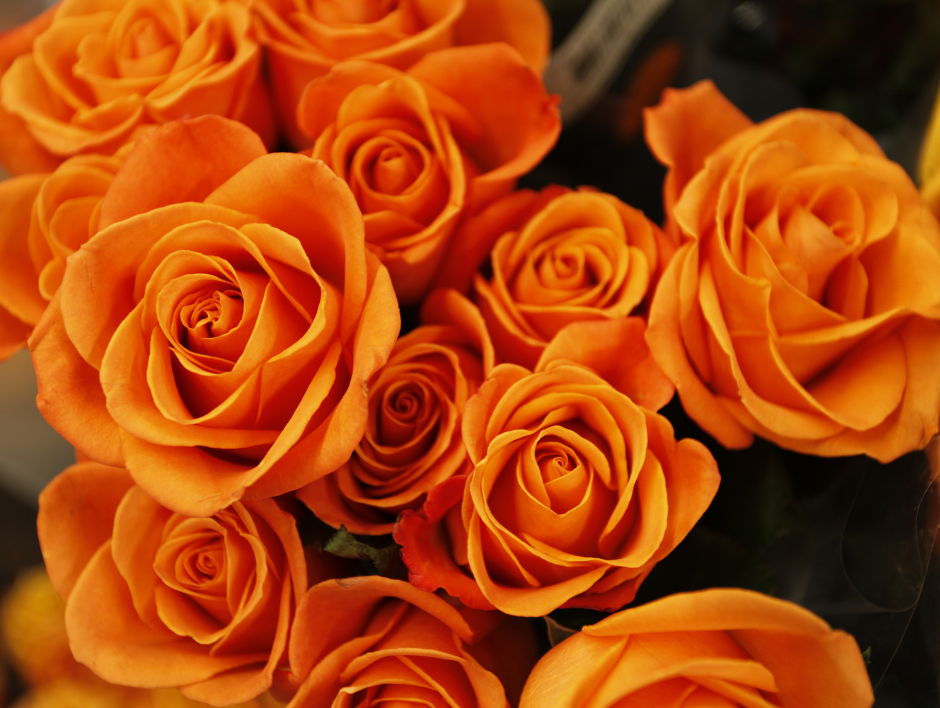 Monroe Florist and Flower Delivery | 747 S Monroe St, Monroe, MI 48161, USA | Phone: (734) 242-6565