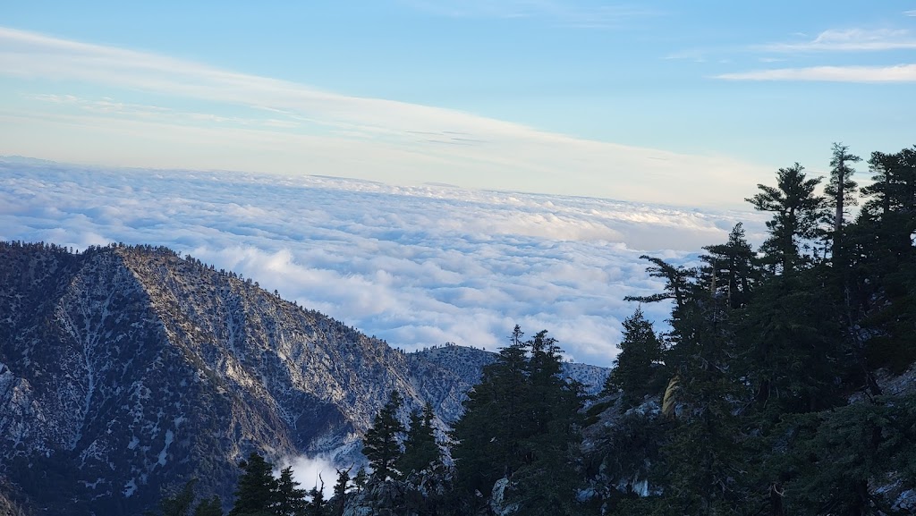 Cucamonga Wilderness | W Cucamonga Truck Trail, Lytle Creek, CA 92358, USA | Phone: (909) 382-2851