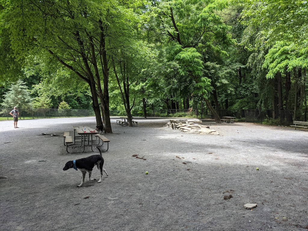 Dog Park in Wheaton Regional Park | 11710 Orebaugh Ave, Wheaton, MD 20902, USA | Phone: (301) 495-2595