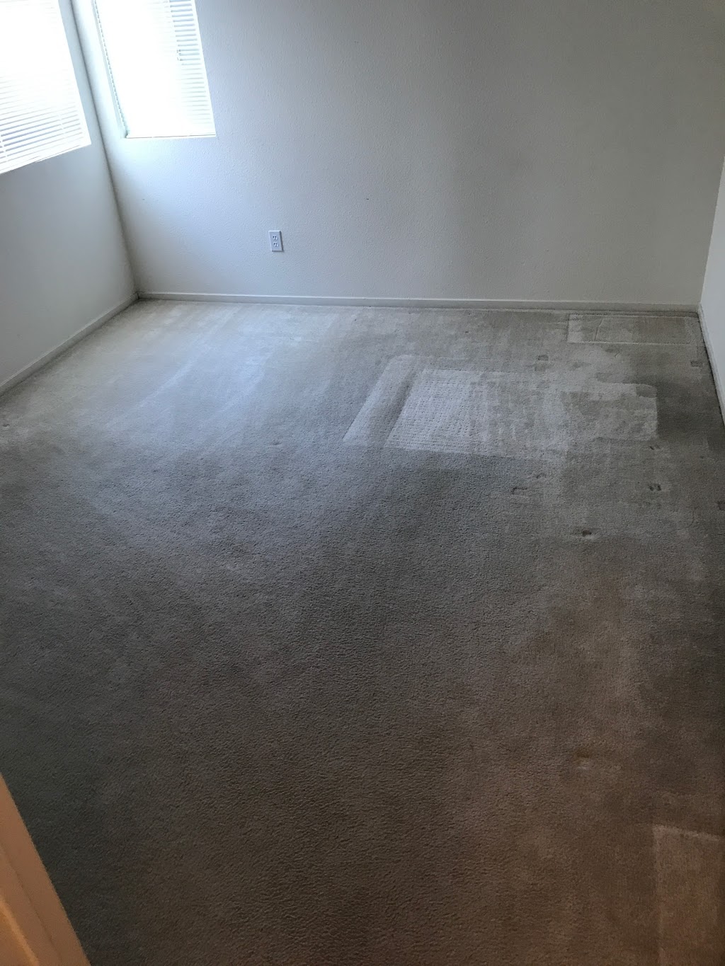 Dependable Carpet Cleaning | 10 Terri Ct, Oakley, CA 94561, USA | Phone: (925) 516-0911