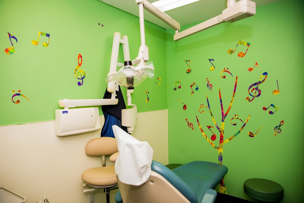 Pajaro Valley Childrens Dental Group- Dr. Mojdeh Faraz | 230 Green Valley Rd, Freedom, CA 95019, USA | Phone: (831) 722-9202