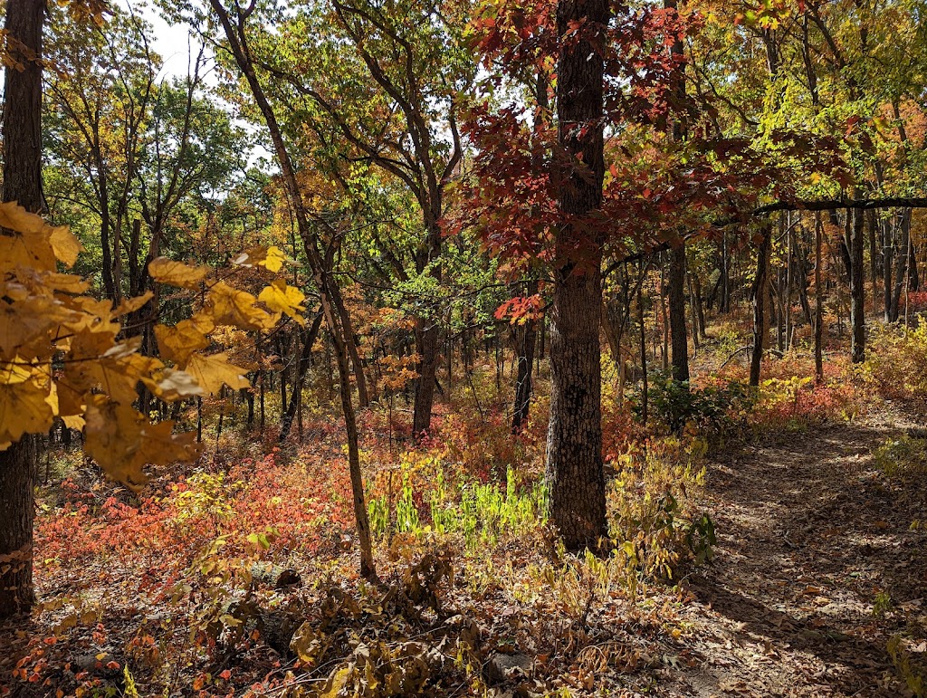 Myron and Sonya Glassberg Family Conservation Area | Eureka, MO 63025, USA | Phone: (636) 458-2236