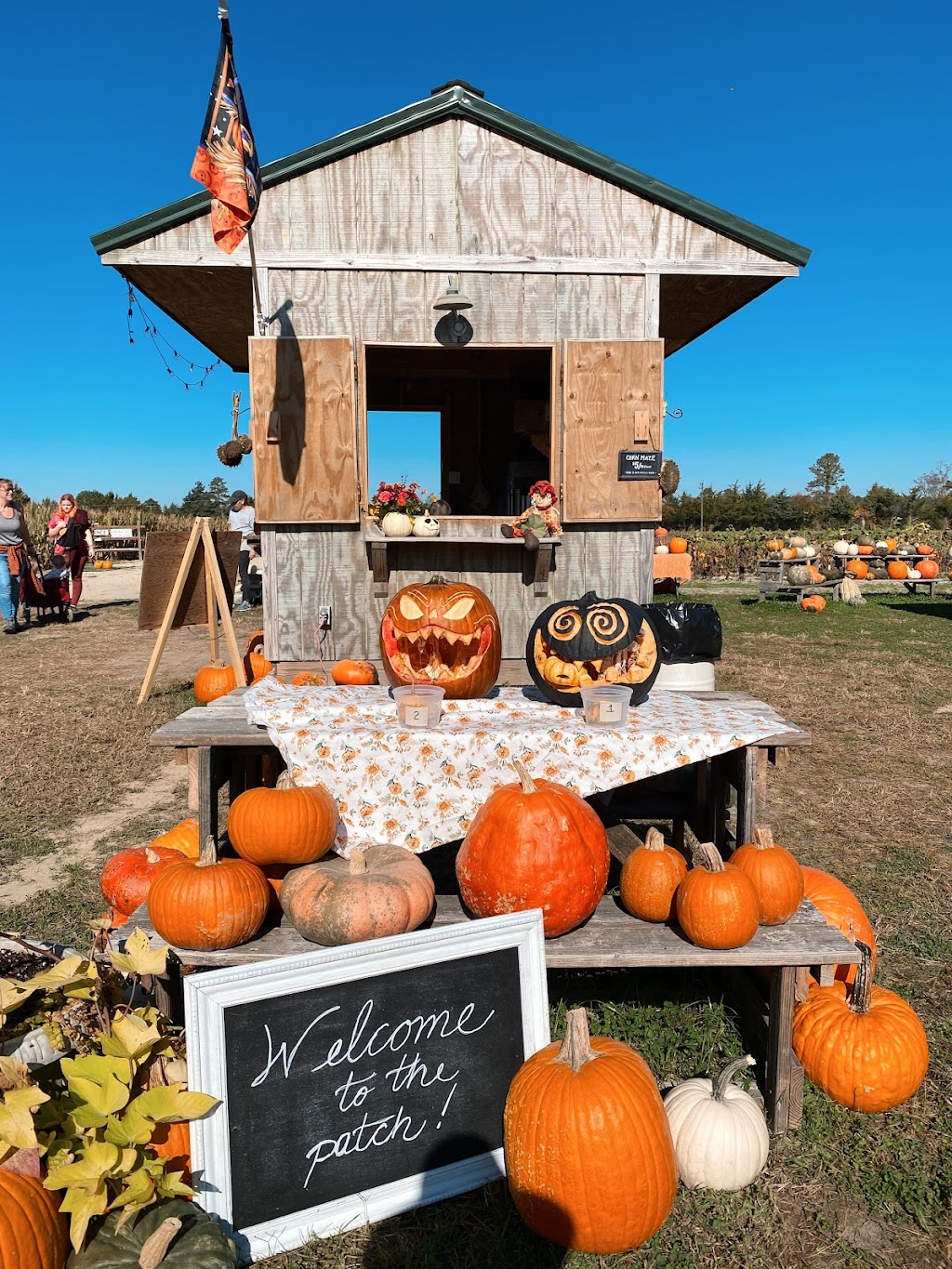 Goose Hill Farm | 22090 Bethel Rd, Franklin, VA 23851, USA | Phone: (757) 569-8453