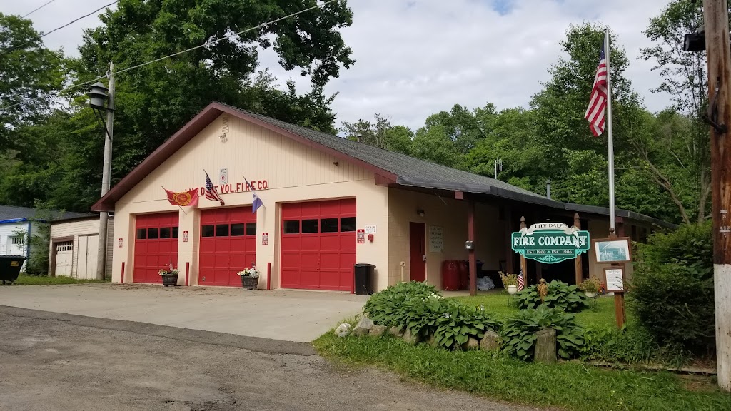Lily Dale Volunteer Fire Station | 17 East St, Lily Dale, NY 14752, USA | Phone: (716) 595-3090