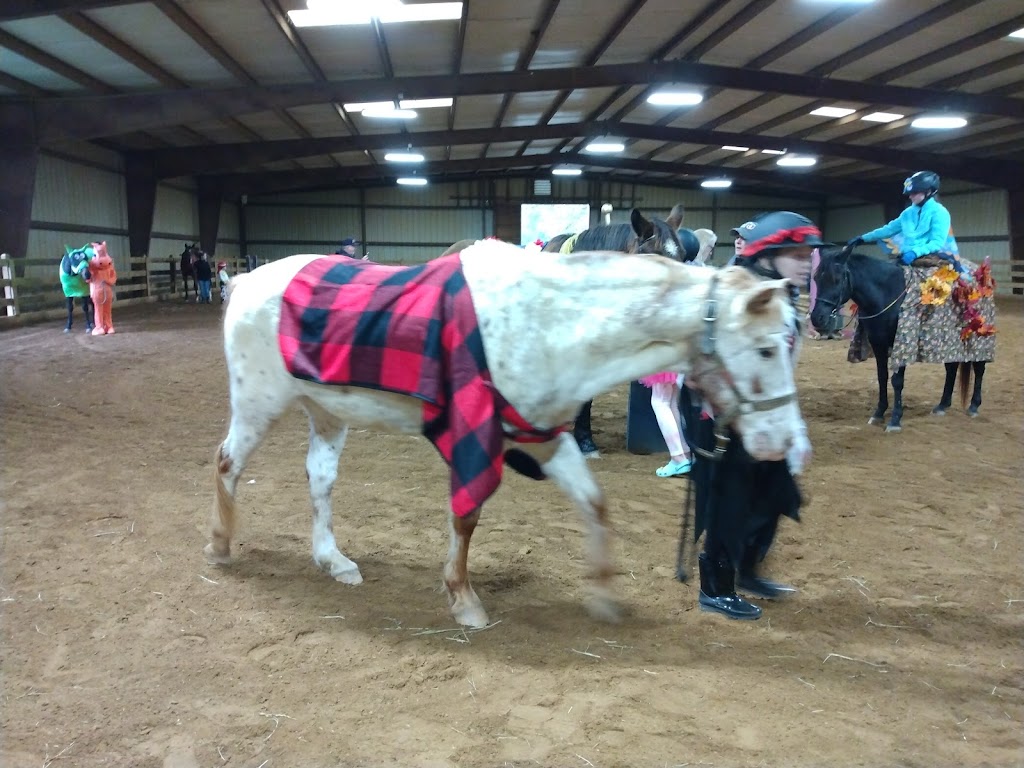 Blue Skies Riding Academy | 501 Puckett Rd SE, Emerson, GA 30137, USA | Phone: (770) 926-2003