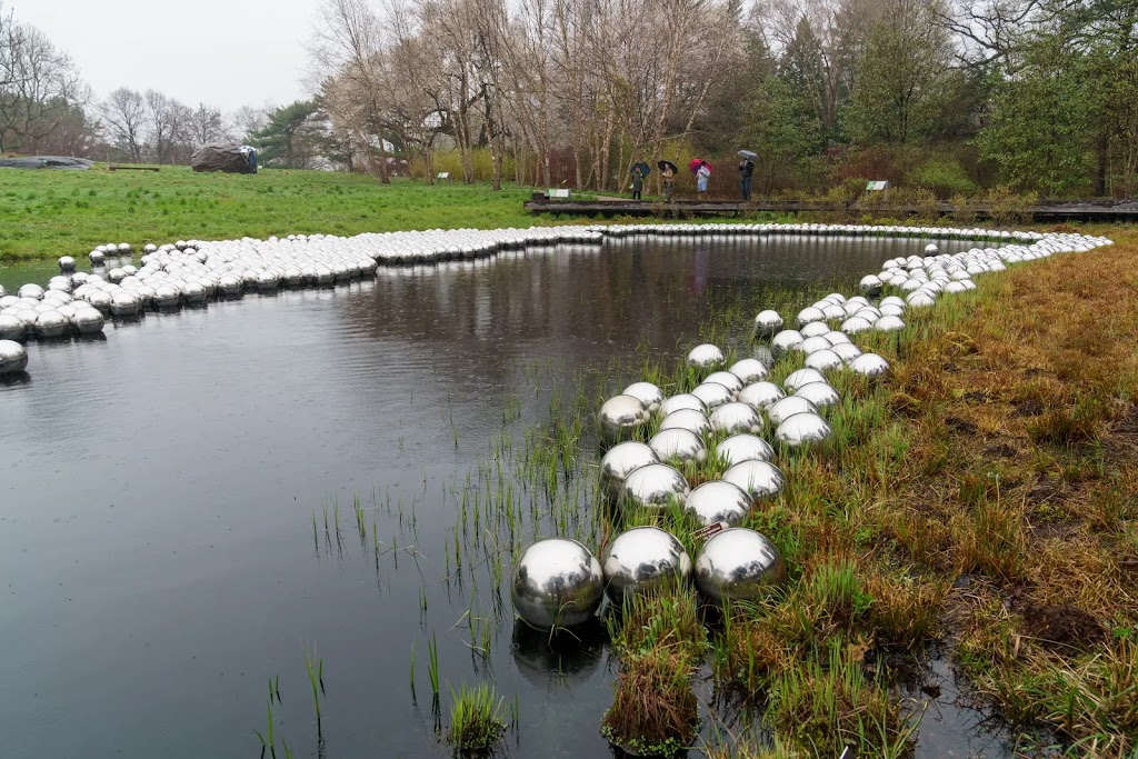 Native Plant Garden, NYBG | The Bronx, NY 10458, USA | Phone: (718) 817-8700