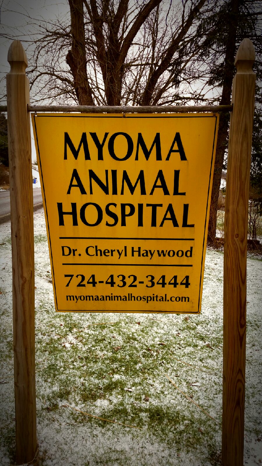 Myoma Animal Hospital | 1230 Mars-Evans City Rd, Mars, PA 16046, USA | Phone: (724) 432-3444