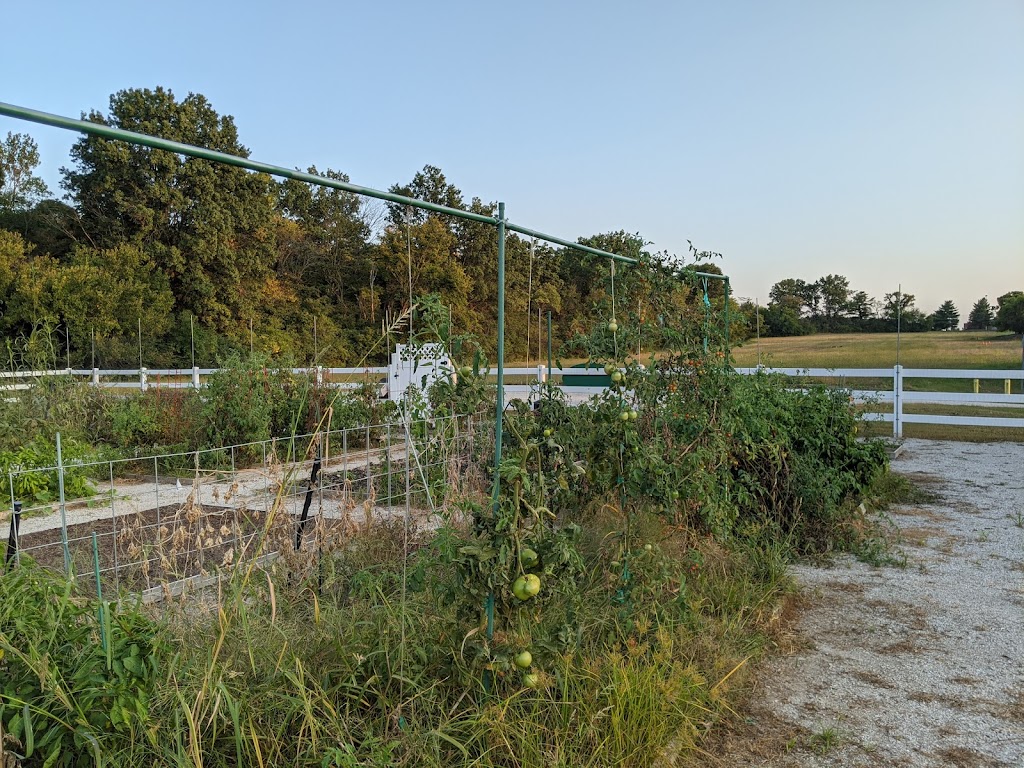 Chesterfield Community Garden | Chesterfield parkway and, Burkhardt Pl, Chesterfield, MO 63017, USA | Phone: (636) 812-9500