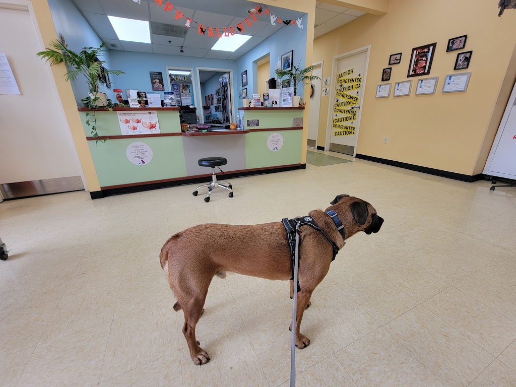 Swan Harbor Animal Hospital | 200 W McComas St #5014, Baltimore, MD 21230, USA | Phone: (443) 869-4104